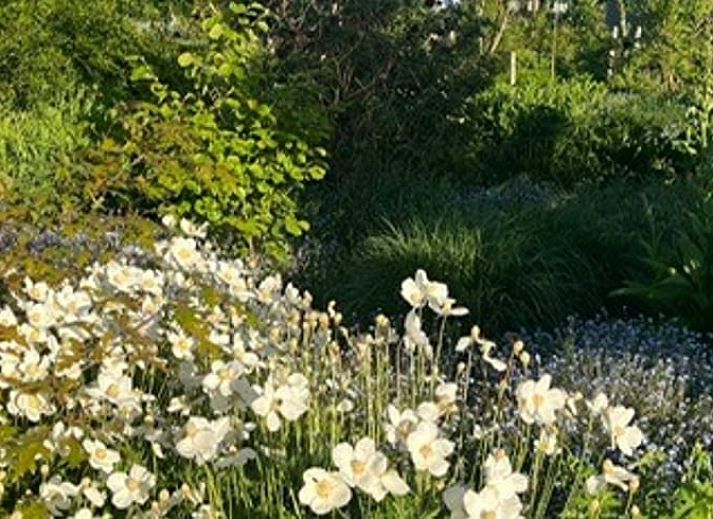 Guest house 674202 - Holiday property Groene hart - Vakantiehuisje in Noorden