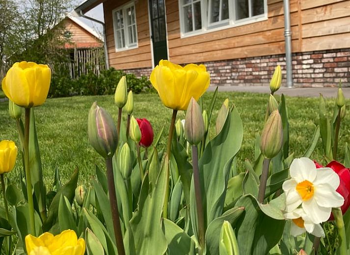 Cozy sleeping loft in Holiday home in Hazerswoude-Rijndijk, Green Heart, South Holland, with wooden interior and comfortable beds.