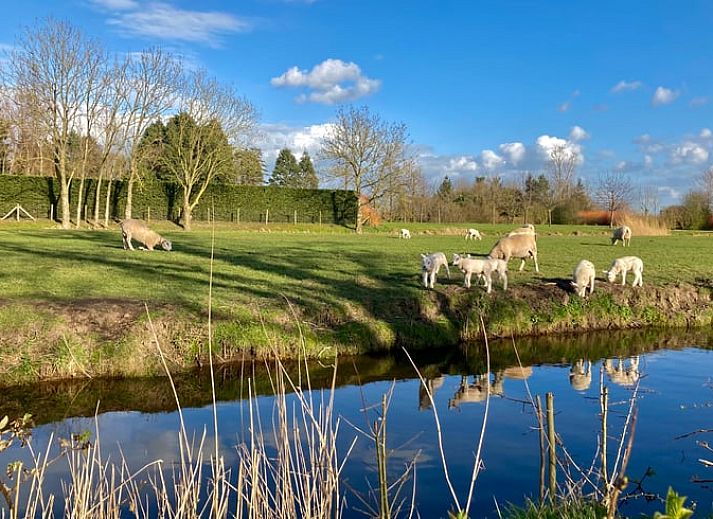 Cozy interior of vacation home in Hazerswoude-Rijndijk, Green Heart, with wooden interior and dining area in South Holland.