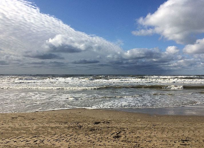 Unterkunft 6801104 - Appartement Noordzeekust - Appartement Zebra