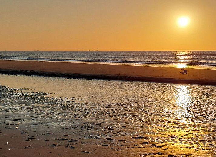 Guest house 6801106 - Holiday property Noordzeekust - Vakantiehuis MarBriliante