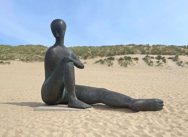 Guest house 6801106 - Holiday property Noordzeekust - Vakantiehuis MarBriliante