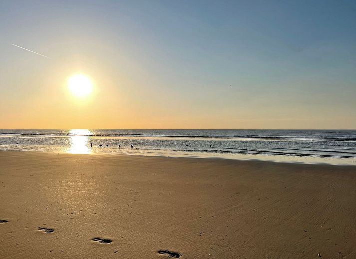 Guest house 6801106 - Holiday property Noordzeekust - Vakantiehuis MarBriliante