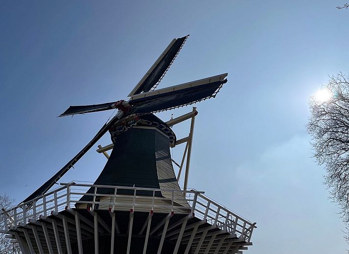 Guest house 6801106 - Holiday property Noordzeekust - Vakantiehuis MarBriliante