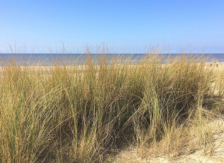 Guest house 6801106 - Holiday property Noordzeekust - Vakantiehuis MarBriliante