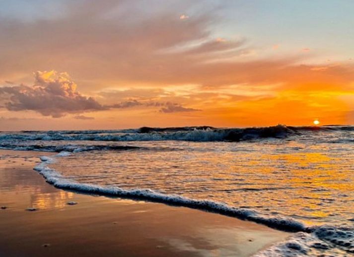 Unterkunft 6801111 - Ferienhaus Noordzeekust - Vakantiehuis Tiny House QuDi