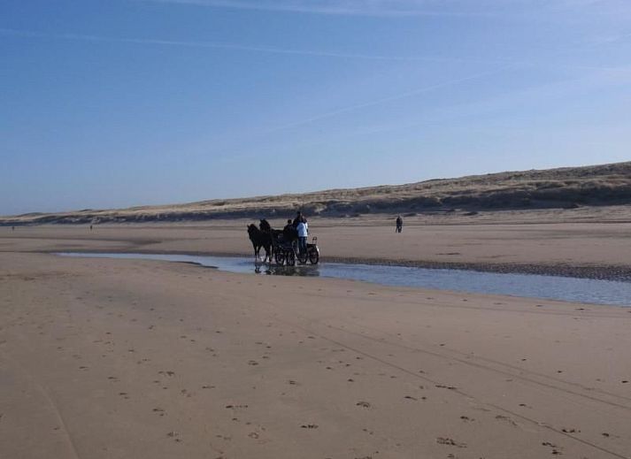 Unterkunft 6801112 - Ferienhaus Noordzeekust - Vakantiehuis für 4 Personen ca. 70 m&sup2; in Noordwijk aan