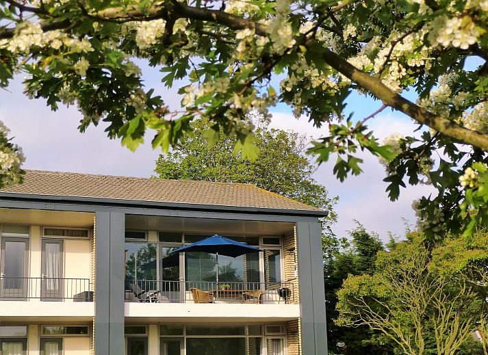 Unterkunft 6801137 - Appartement Noordzeekust - Noordzee