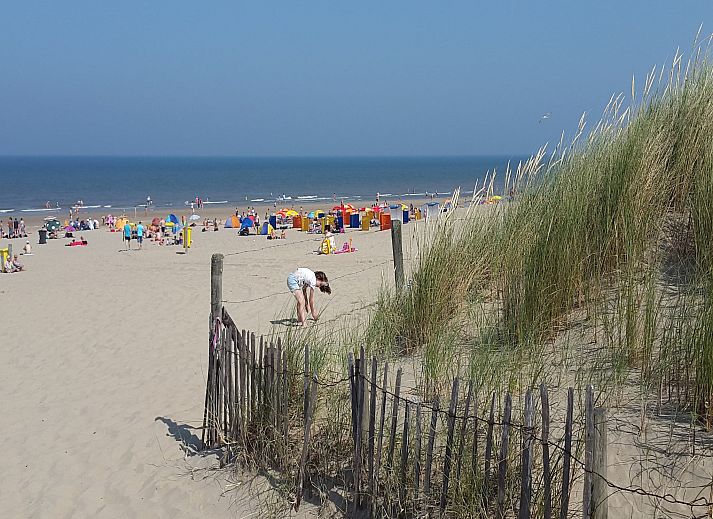 Unterkunft 6801138 - Ferienhaus Noordzeekust - Walhalla aan Zee