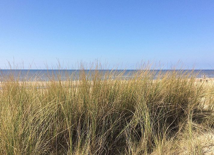 Guest house 6801149 - Holiday property Noordzeekust - Vakantiehuis SunnyLogde
