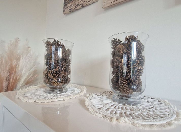 Guest house 680118 - Holiday property Noordzeekust - Vakantiehuis De Bosuil