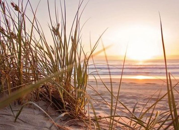 Guest house 680118 - Holiday property Noordzeekust - Vakantiehuis De Bosuil