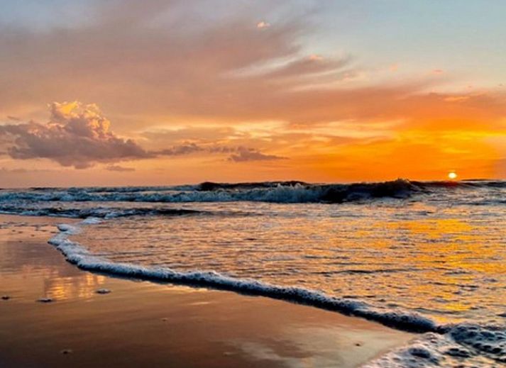 Guest house 680118 - Holiday property Noordzeekust - Vakantiehuis De Bosuil