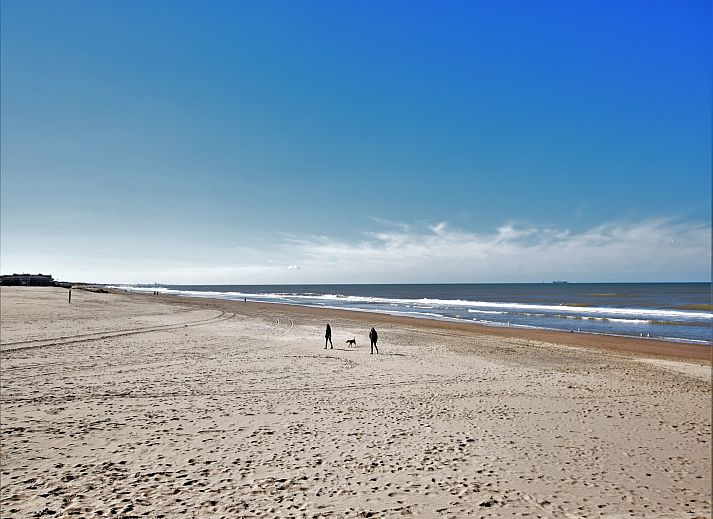 Unterkunft 6801207 - Ferienhaus Noordzeekust - De Zilvermeeuw