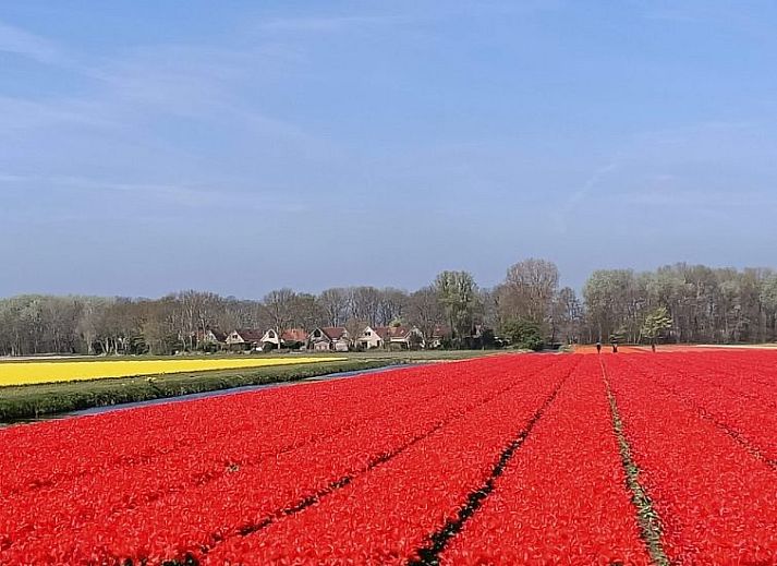 Gezellige woonkamer in Vakantiehuis Stern Comfort, Noordwijk, met uitzicht op de tuin.