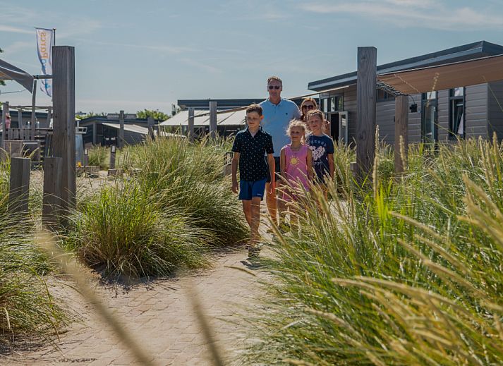 Guest house 680128 - Holiday property Noordzeekust - Duinlodge