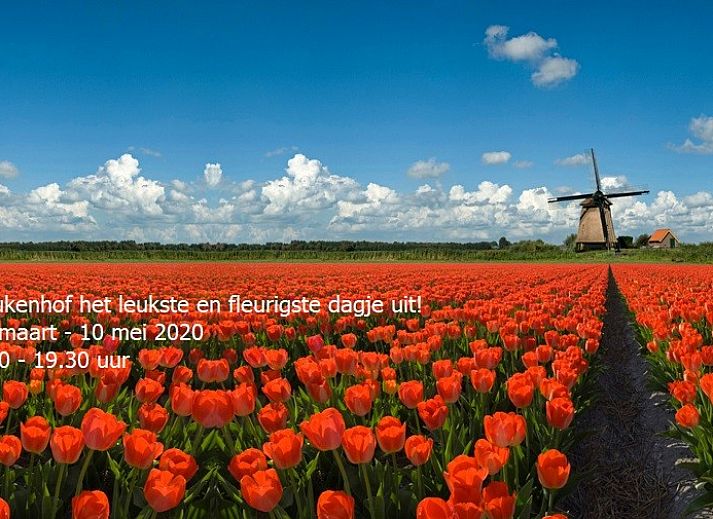 Geraeumige Terrasse des Chalets Duinparel 126 in Noordwijk, Suedholland, umgeben von gruener Natur.