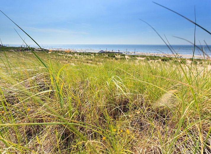 Geraeumige Terrasse des Chalets Duinparel 126 in Noordwijk, Suedholland, umgeben von gruener Natur.