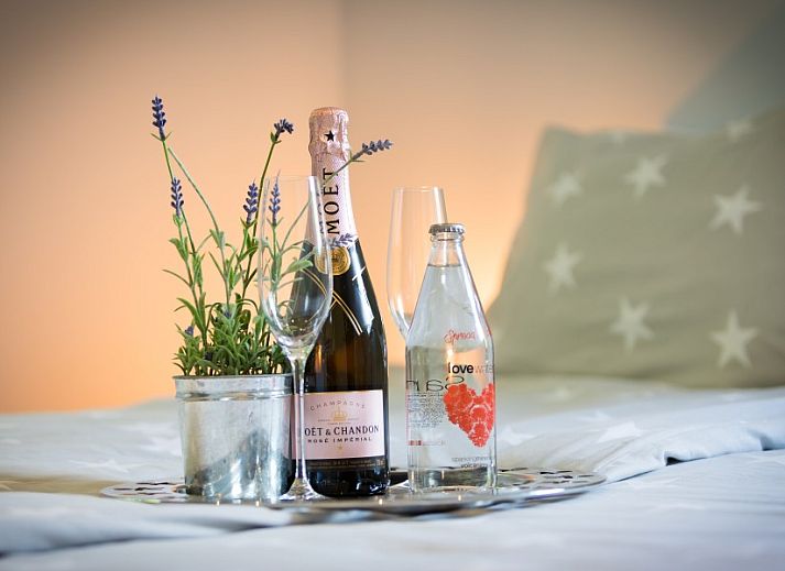 Ruime veranda van Bungalow type Cypres XS in Noordwijk, Noordzeekust, Zuid-Holland omringd door natuur.