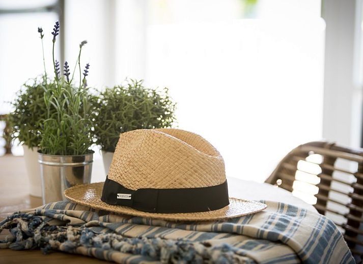 Ruime veranda van Bungalow type Cypres XS in Noordwijk, Noordzeekust, Zuid-Holland omringd door natuur.