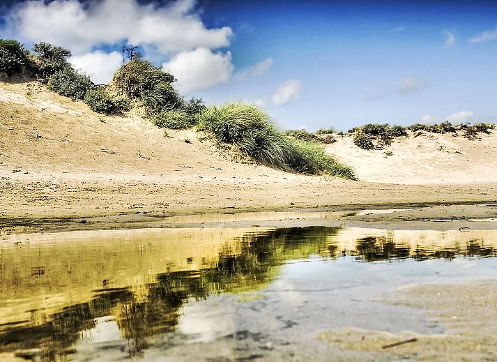 Moderne Kueche im Ferienhaus Stern Comfort, Noordwijk, Nordseekueste, Suedholland mit Gartenblick.