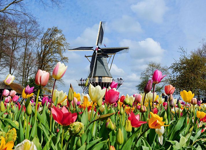 Unterkunft 680170 - Appartement Noordzeekust - Appartement SummerBreak