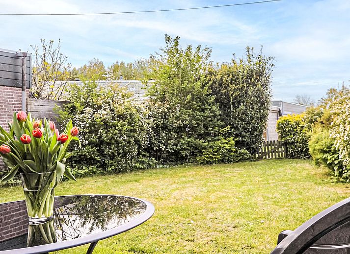 Verblijf 680220 - Vakantiewoning Noordzeekust - Vakantiehuis Hollandsche Tulp