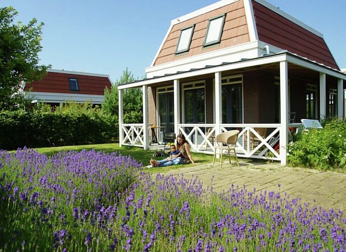 Verblijf 680223 • Vakantiewoning Noordzeekust • De Tulp