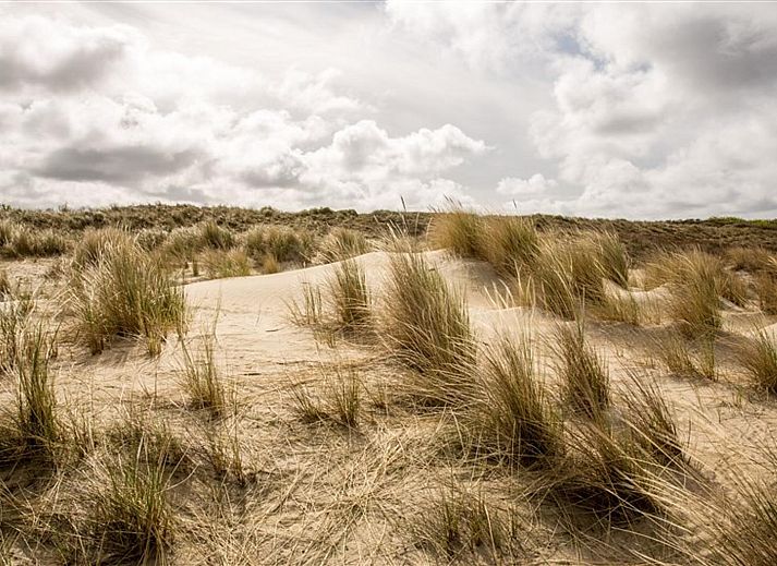 Guest house 680412 - Beach house Noordzeekust - HaagseStrandhuisjes