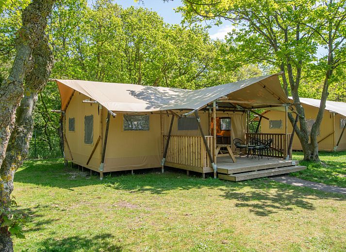 Unterkunft 6804167 - Zelthaus Noordzeekust - Safaritent 6