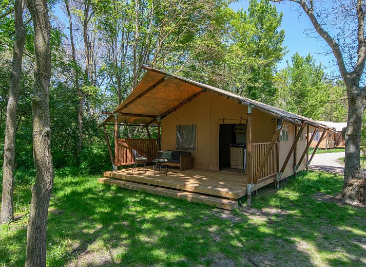 Unterkunft 6804169 - Zelthaus Noordzeekust - Safaritent 4
