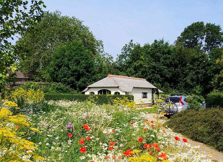 Unterkunft 680505 • Ferienhaus Noordzeekust • Charmant 6 persoons vakantiechalet op een boerderij bij 