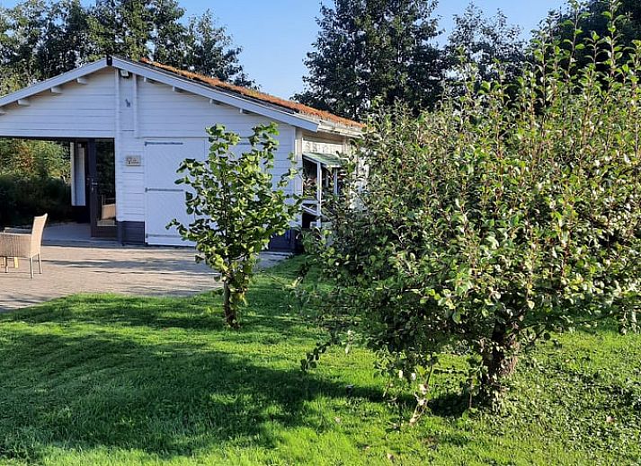 Cozy porch of Huisje in Lisse, vacation home on the North Sea coast in South Holland.