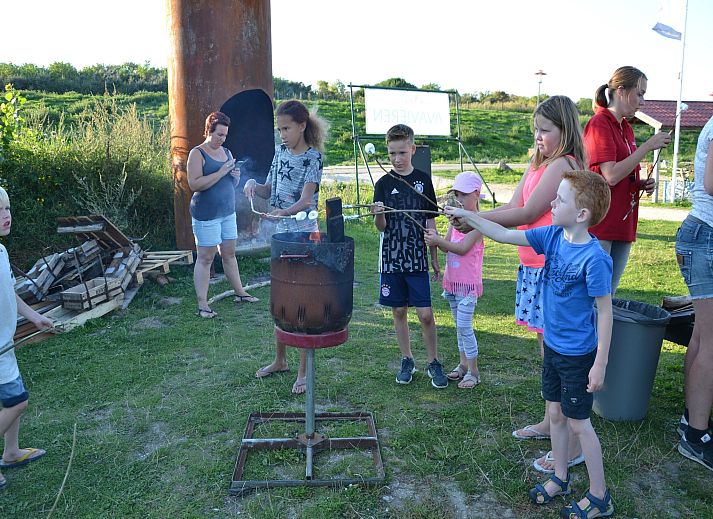 Guest house 681812 - Holiday property Noordzeekust - Strandpark Vlugtenburg 2