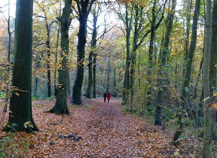 Guest house 681820 - Holiday property Noordzeekust - Strandpark Vlugtenburg 12