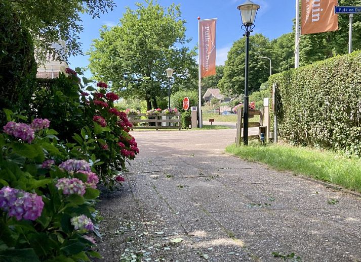 Zonnig terras bij Vakantiehuis nr 23 Bungalowpark Puik en Duin, Noordwijk aan zee, Noordzeekust, Zuid-Holland.