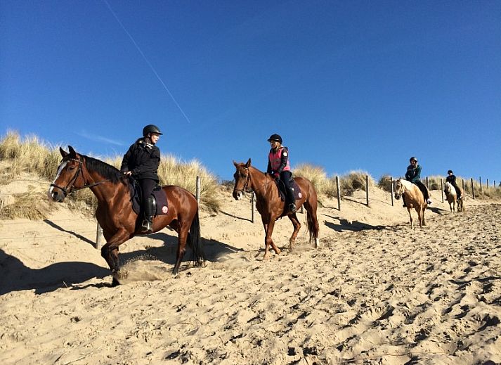 Ruime woonkamer van Vakantiehuis nr 23 Bungalowpark Puik en Duin, Noordwijk aan zee, Noordzeekust, Zuid-Holland.