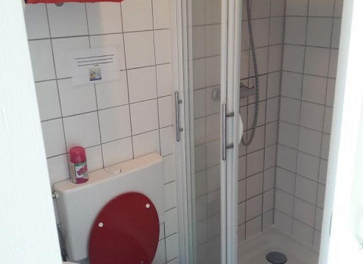 Zonnig terras bij Om de Loop vakantiehuis in Rockanje, Zuid-Holland, omgeven door groen.