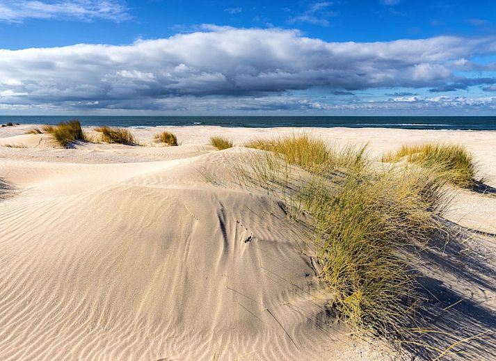 Unterkunft 682904 - Appartement Noordzeekust - Appartement Bloem 'n Zee