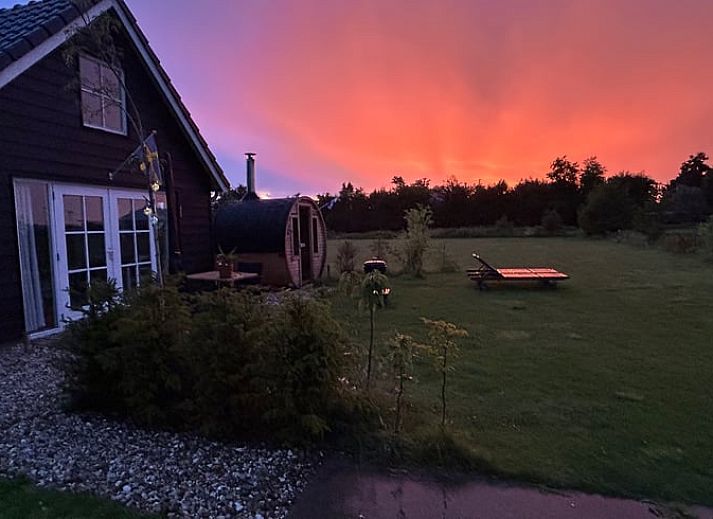 Bloeiende tulpenvelden bij Vakantiehuisje in Voorhout, Noordzeekust, kleurrijke bloesem in Zuid-Holland.