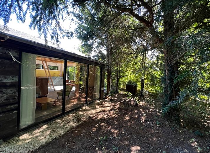 Guest house 683501 - Holiday property Noordzeekust - Vakantiehuis in Voorschoten