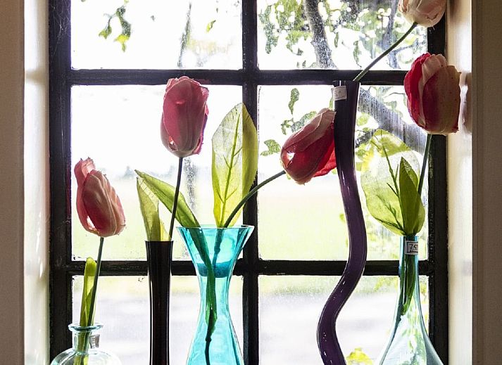 Helle Diele im Ferienhaus Polderzicht, Zuid-Beijerland, mit Blick auf das Esszimmer und den Garten.