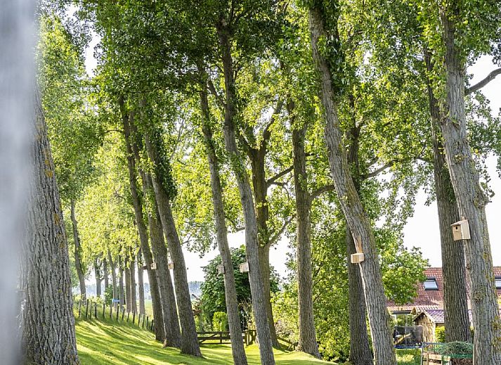 Aussenansicht des Ferienhauses Polderzicht, Sued-Beijerland, mit traditionellen Dachziegeln und gruener Umgebung.