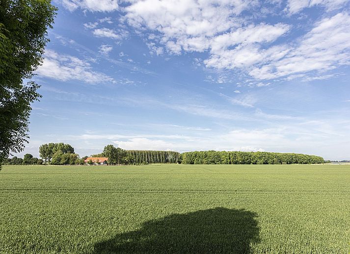 Aussenansicht des Ferienhauses Polderzicht, Sued-Beijerland, mit traditionellen Dachziegeln und gruener Umgebung.