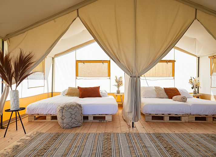 Guest house 690105 - Tent house Voorne Putten/Hoekse waard - Safaritent Lodge (inclusief ontbijt)