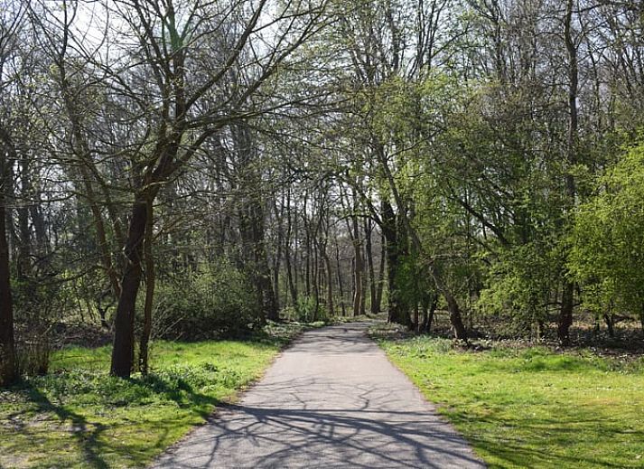 Bright living space in Holiday Home in Oostvoorne, with cozy furnishings and lots of natural light.