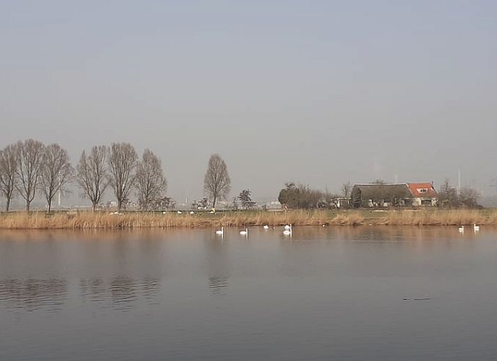 Verblijf 690325 - Vakantiewoning Voorne Putten/Hoekse waard - Vakantiehuisje in Simonshaven