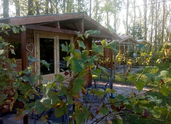 Unterkunft 690326 - Ferienhaus Voorne Putten/Hoekse waard - Huisje in Simonshaven