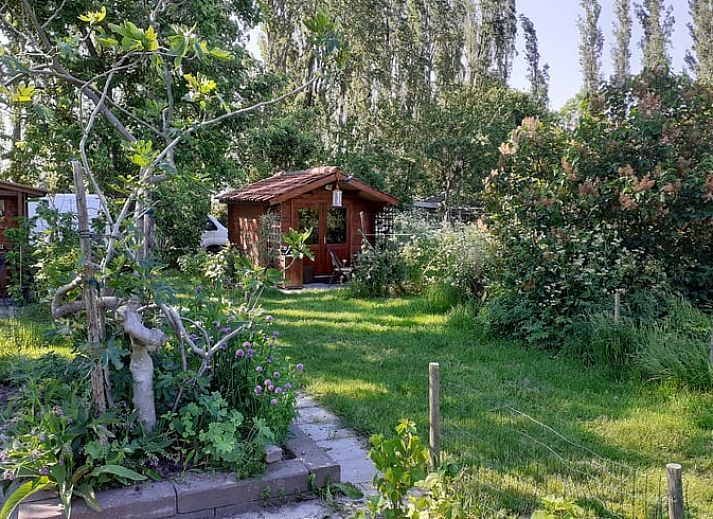 Unterkunft 690326 - Ferienhaus Voorne Putten/Hoekse waard - Huisje in Simonshaven