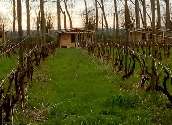 Cozy interior of Holiday home in Simonshaven with wooden interior, South Holland.
